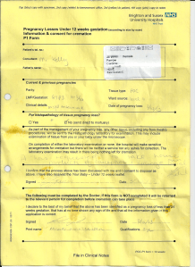 Baby Raphael Release form